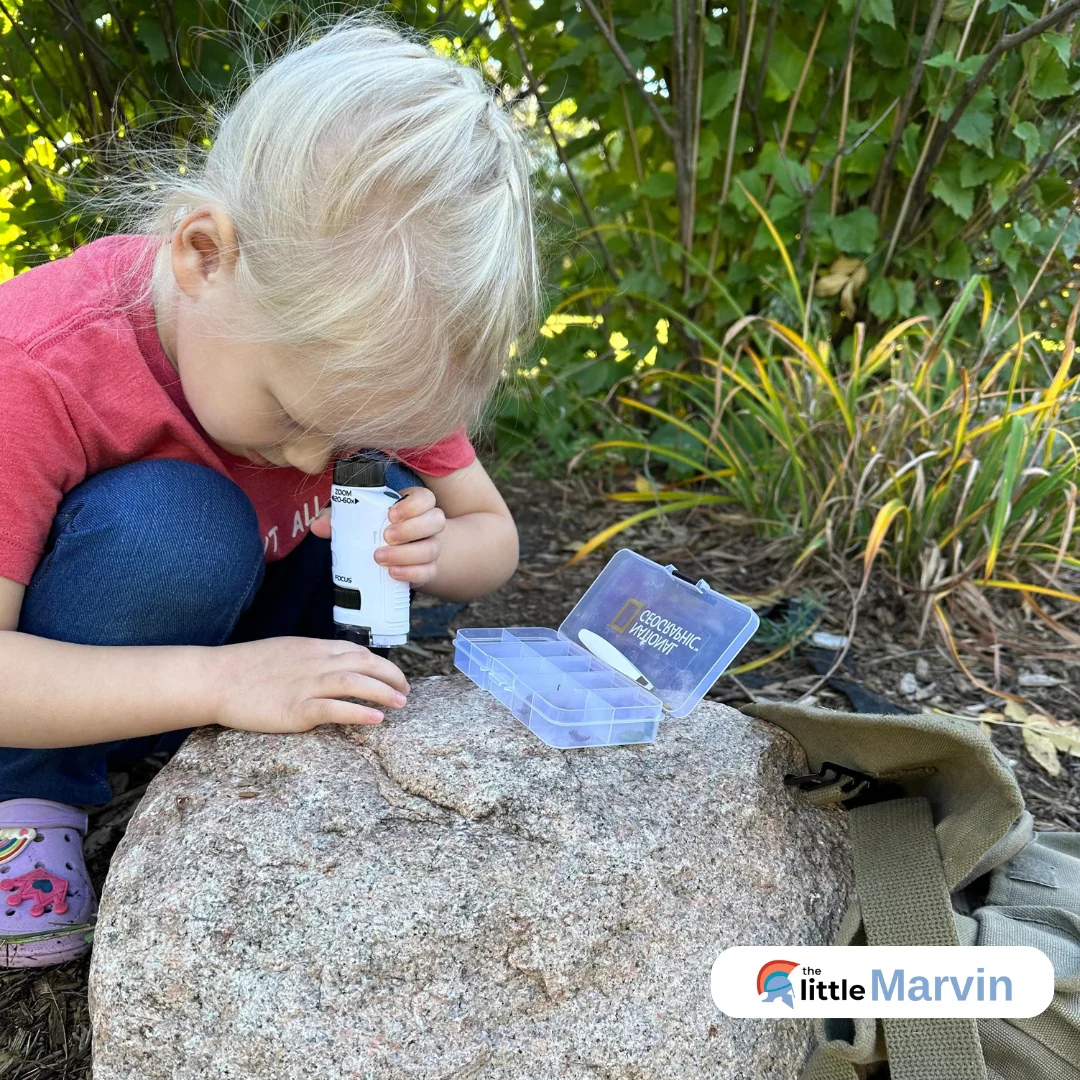 L'Optique des Petits