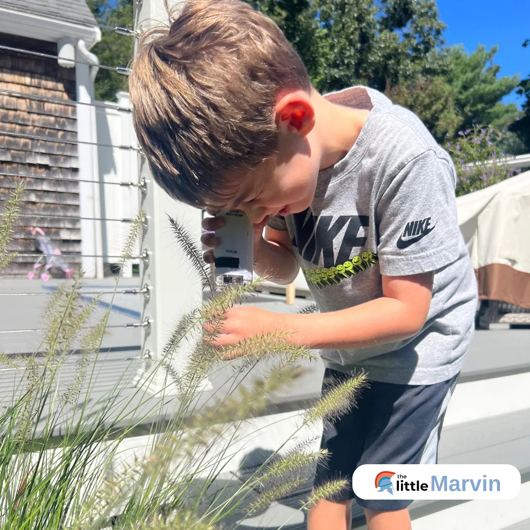 L'Optique des Petits