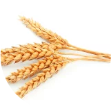 Alt image